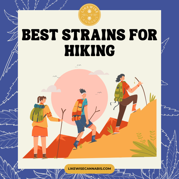 best-cannabis-strains-for-hiking-marijuana-strains-for-wilderness-hiking-trips