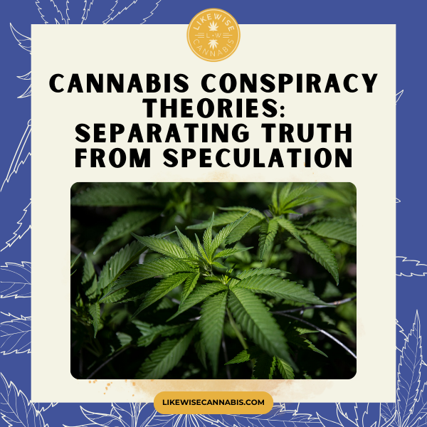 cannabis-conspiracy-theories-separating-truth-from-speculation